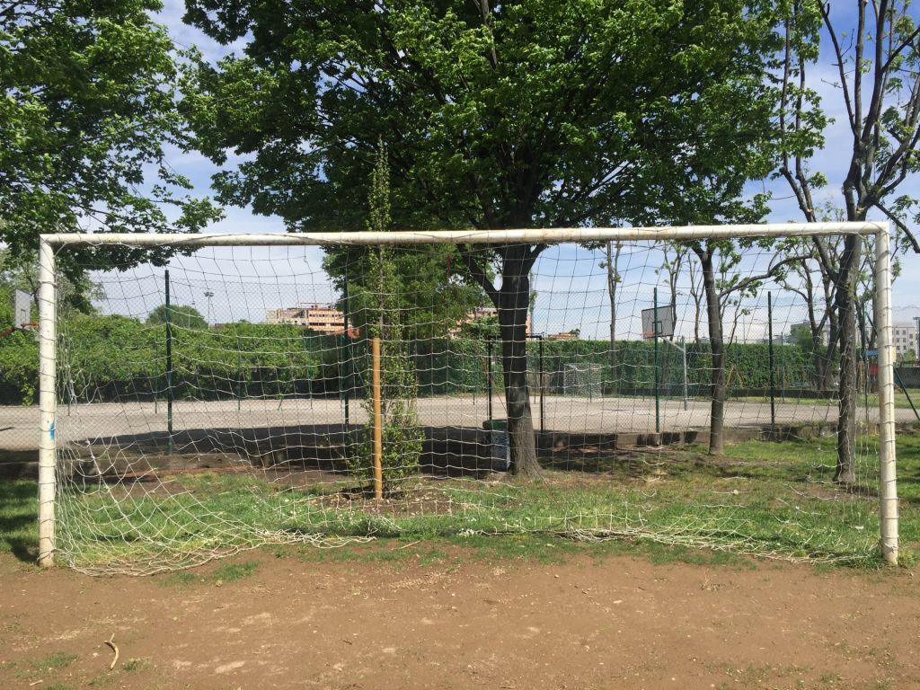 Campo Gilda