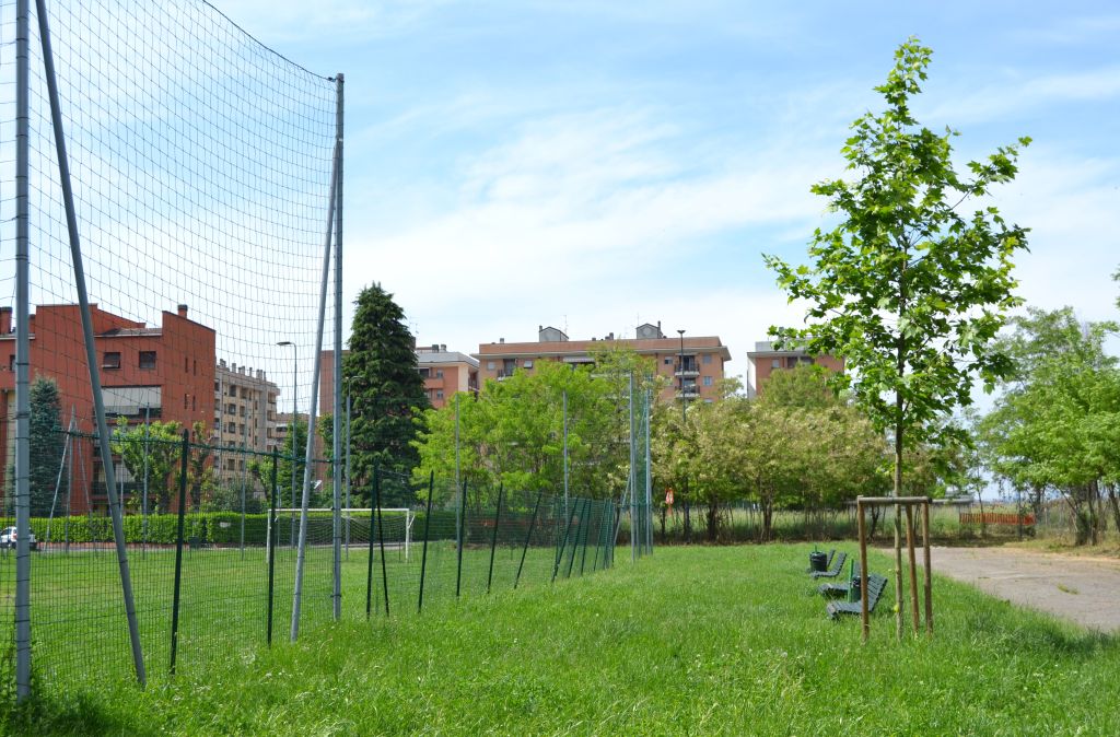 Campo Medea